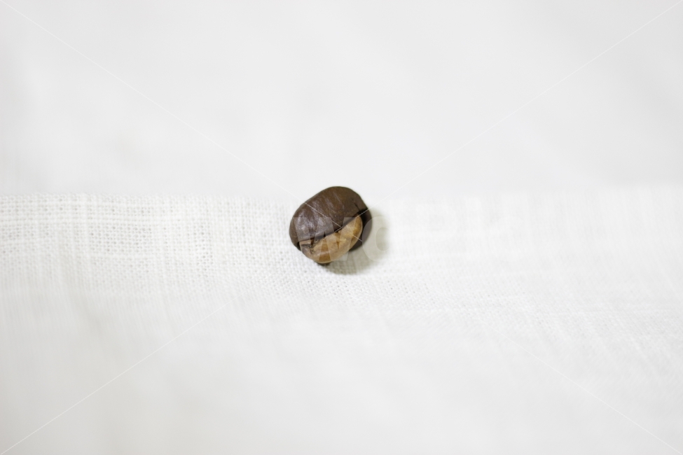 원두,커피,카라콜,쉘,코어,로스팅,반전,갈색,린넨,커피,카페,coffee,cafe