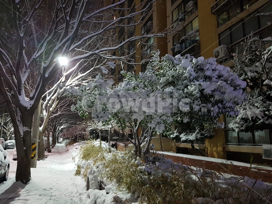 목포,한파,폭설,비파아파트,하당,겨울,계절,winter,season,야경,밤,풍경,nightscape,night,landscape,도시,city,한국도시풍경,한국도시경관,korea cityscape,outdoors,옥외