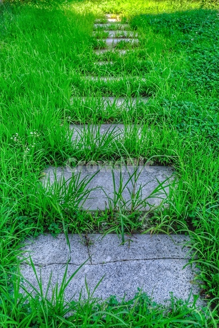 walkway,grass,길,대리석,잔디,밝음,식물,자연,plants,nature