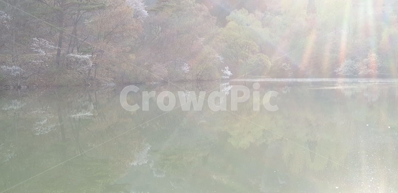 세량지,벗꽃,봄풍경,호수,자연