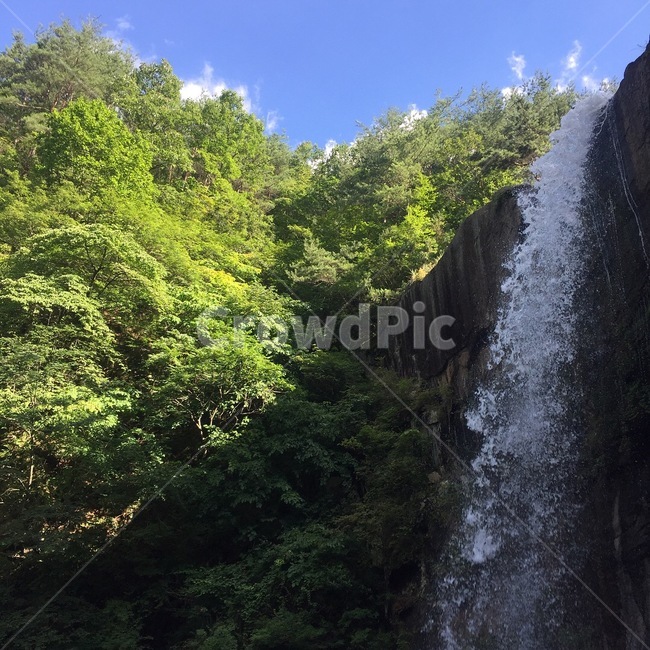 폭포,자연,waterfall,river,강,nature,자연,풍경,nature,landscape