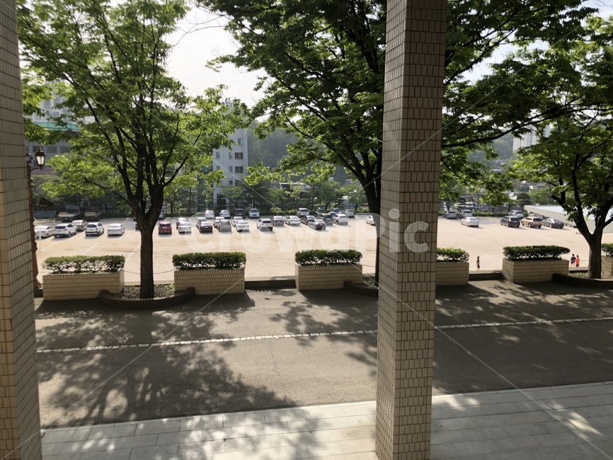오후,여유,자연,방과후,학교,afternoon,afterschool