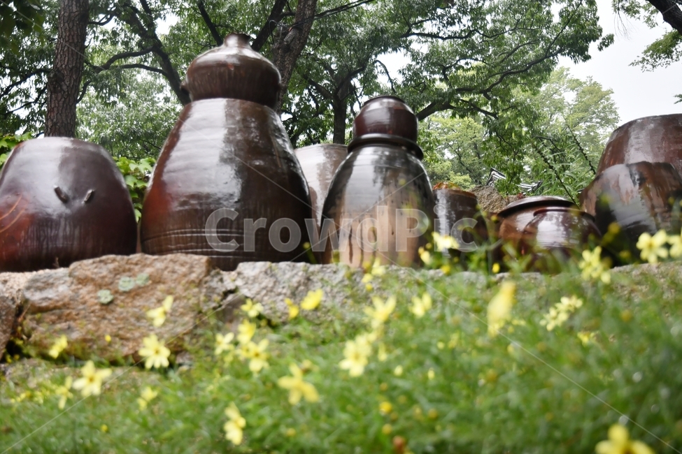 장독대,항아리,향수,뒷마당,고추장항아리,된장항아리,한국전통,한국문화,korean traditional,korean culture