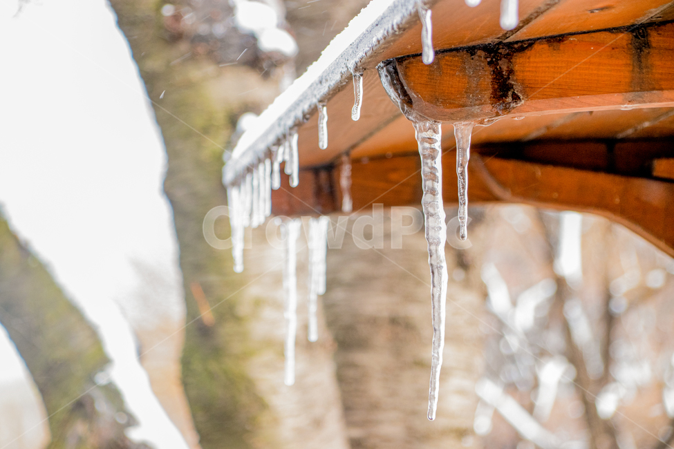 고드름,얼음,ice,snow,outdoors,자연,nature,winter,겨울,눈,겨울,계절,winter,season