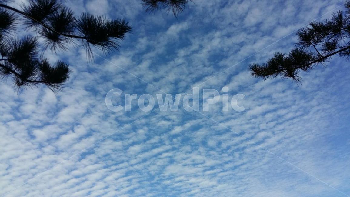 하늘,스카이,푸르름,자연,sky,자연,풍경,nature,landscape
