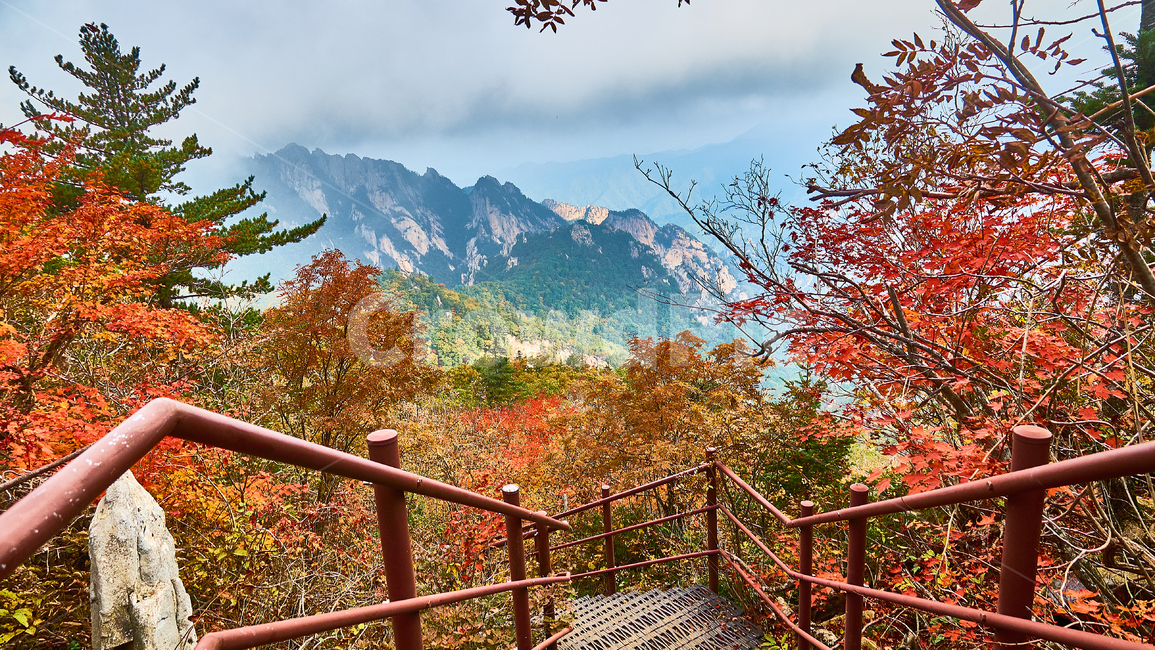 A national park,mountain,Northwest Ridge,Mt Seolark,Maple
