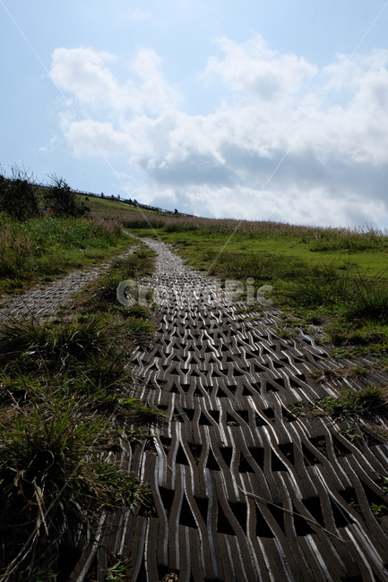 길,오르막,제주,우도,우도봉,자연,풍경,nature,landscape,outdoors,옥외