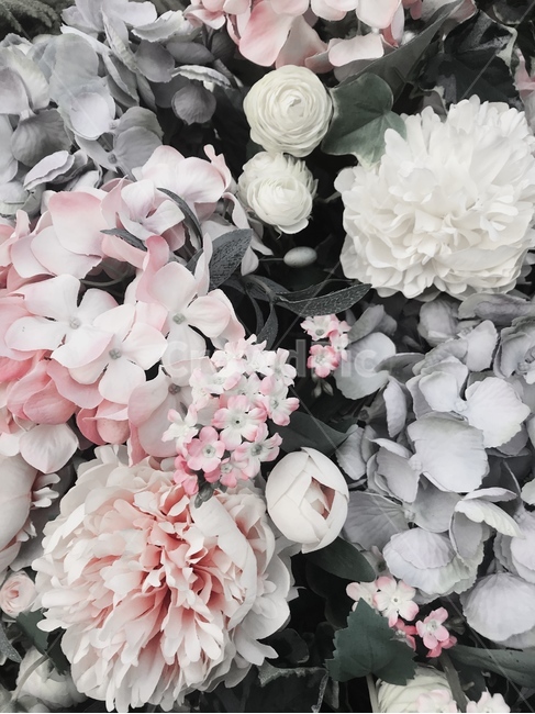 꽃,흑백,꽃다발,그레이,연핑크