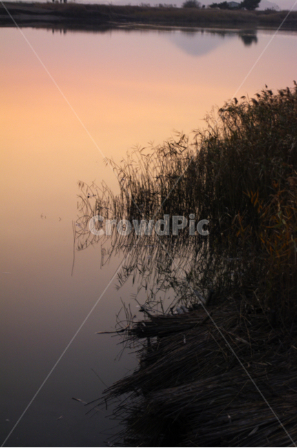 순천만,일몰,노을,풍경,갈대밭,강,그림자,자연,풍경,nature,landscape,weather,날씨,grass,잔디,plant,식물,outdoors,옥외
