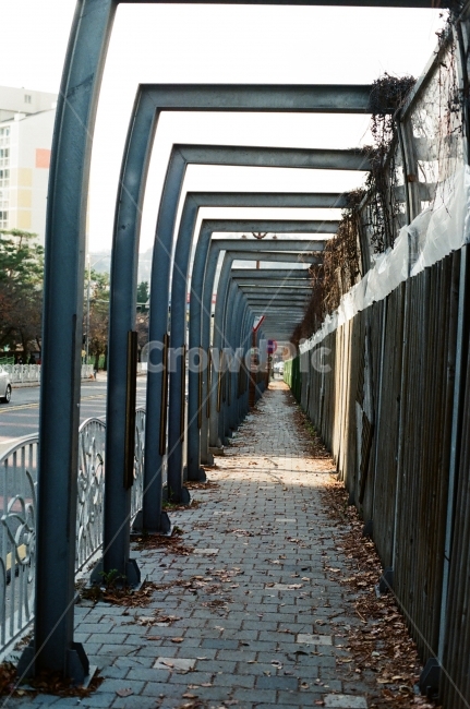 동네,골목,내리막,터널,인도,도보,필름,가을,계절,fall,autumn,season,도시,풍경,city,landscape,한국도시풍경,한국도시경관,korea cityscape,porch,현관,patio,안마당,pergola,페르 골라,walkway,보도,path,통로