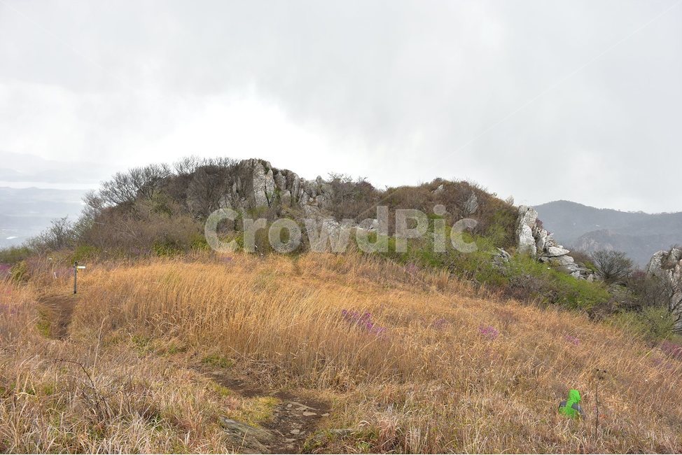 주작산,덕룡산,종주,진달래,풍경,기암,바위,비경,봄풍경,진달래꽃,강진,명산,산행,등산,마운틴,힐링,mountain,landscape,자연,natural,억새,자연,풍경,nature,landscape,한국자연풍경,한국자연경관,korea nature landscape,outdoors,옥외,wilderness,황야,bush,부시,plant,식물,vegetation,초목,grass,잔디