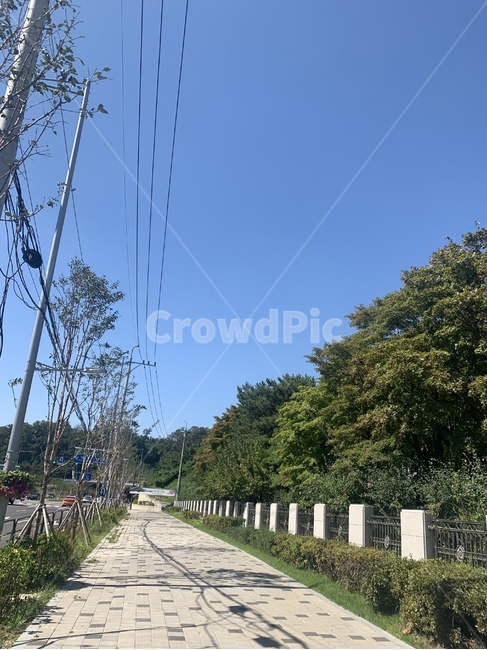 길,하늘,나무,인도,road,sky,tree