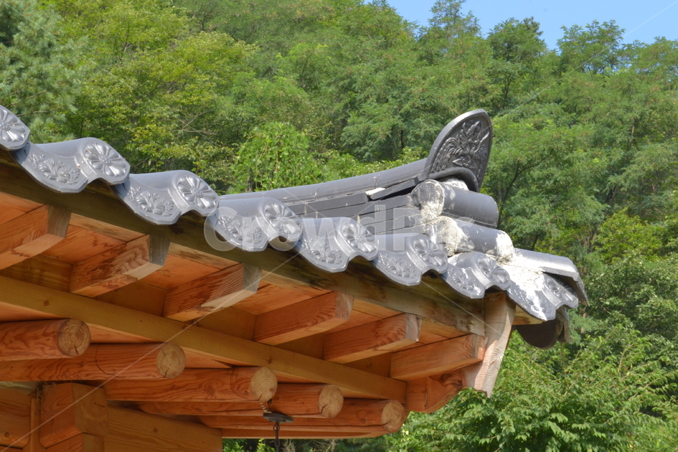 한옥,처마,여름,기와집,자연,한국전통,한국문화,korean traditional,korean culture,건축물,건물외관,exterior,building,structure,architecture,construction