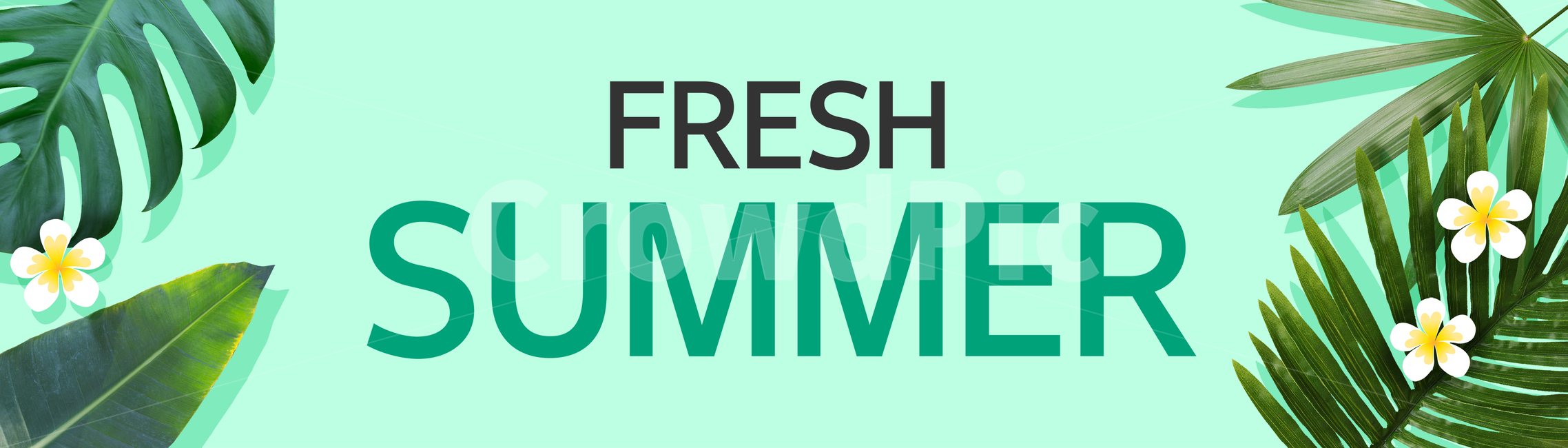 나뭇잎,몬스테라,하와이안플라워,여름,프레임,쇼핑,배너,여름,계절,summer,season,식물,자연,plants,nature,축제,행사,festival,carnival,event,그래픽,일러스트레이션,graphic,illustration