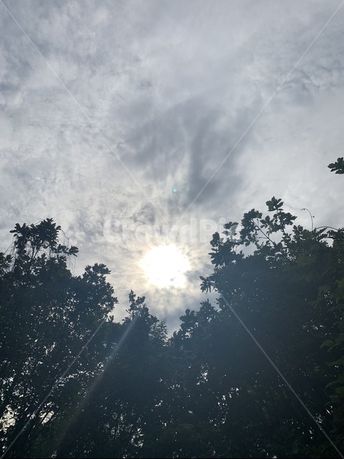 햇빛,빛,sunlight,구름,풀,자연,풍경,nature,landscape,light,flare,플레어,weather,날씨