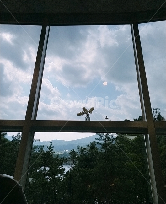 하늘,배경,해,나무,풍경