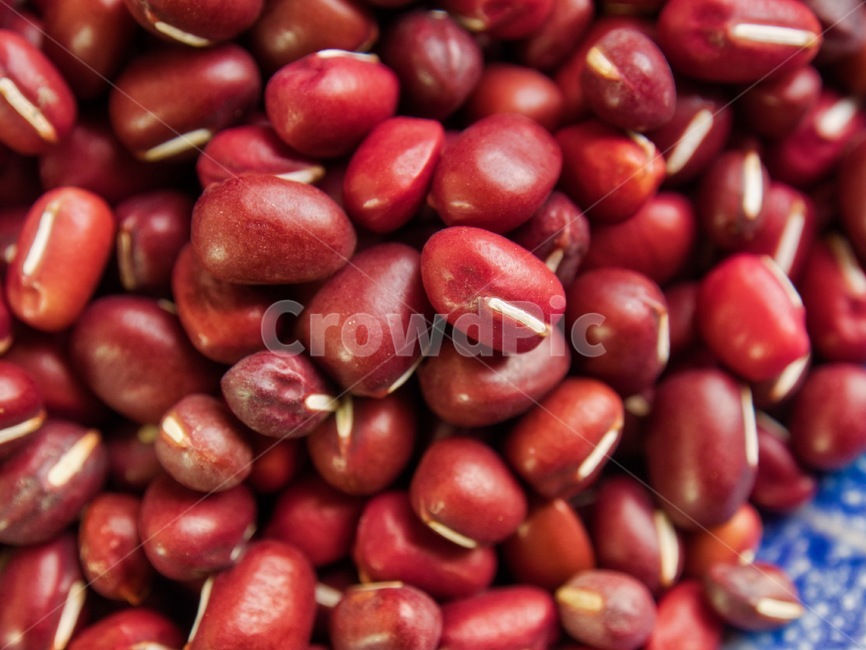 팥,유기농,콩,빨간색,작은,식품,음식,음식재료,redbean,organic,bean,red,small,food,foodingredients,배경,background,음식,식재료,요리,food,cook,meal,dishes,food reserves,콩류,견과류,beans,pulse,nuts,dry fruits