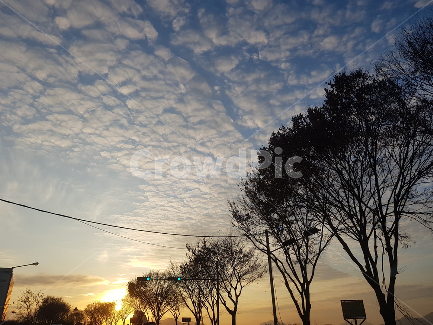 nature,outdoors,자연,노을,나무,옥외,구름,하늘