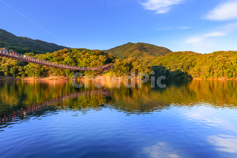 마장호수,출렁다리,파주시,저녁,노을,반영,휴일,가을,물,하늘,나무,데크,자연,풍경,nature,landscape,water,outdoors,옥외,lake,호수