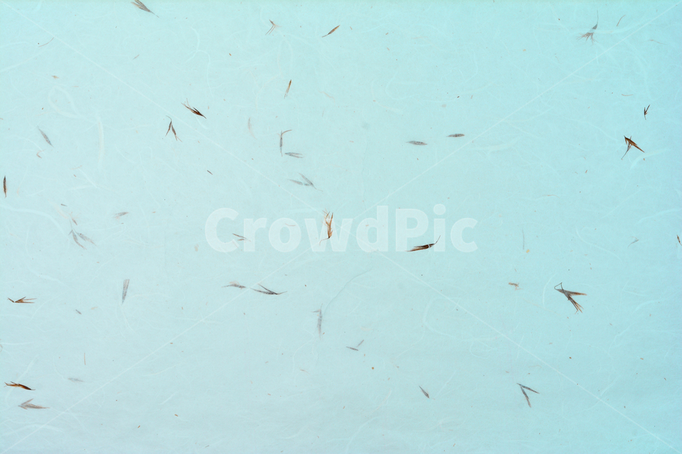한지,종이,패턴,텍스쳐,전통,한국적,pattern,texture,korean,culture,traditional,기하학,추상,배경,바탕,백그라운드,background,디자인,라인,선,면,무늬,리듬,문화유산,아름다움,한국의미,장인,east,동양적,아시아,빈티지,vintage,앤틱,복고풍,레트로,paper,자연친화적,식물성,고유의,보존,기록,스며들다,펄프,제지,지류,pulp,한국전통,한국문화,korean traditional,korean culture,텍스처,질감,패턴,texture,pattern