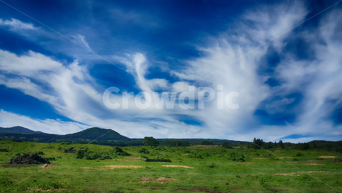 nature,outdoors,옥외,field,들,grassland,목초지,자연,자연,풍경,nature,landscape