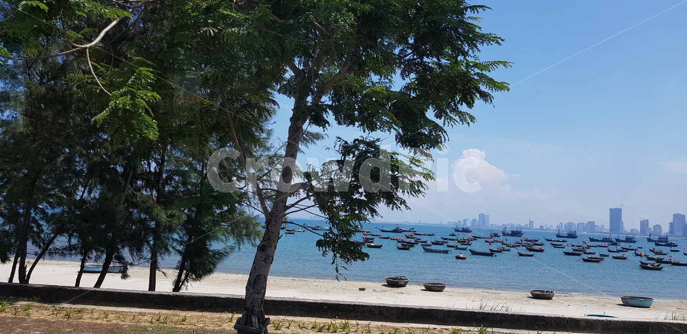미케비치,다낭바다,다낭해변,다낭배,해변,나무,바다,배,하늘