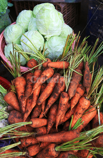 당근,양배추,채소,야채,시장,재래시장,마켓,흙당근,vegetable,carrot,cabbage,farmersmarket,market,농업,농장,농작,캐롯,캐비지