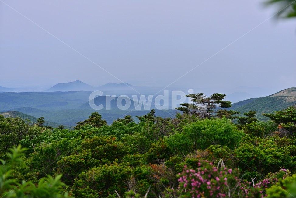 제주,한라산,영실,영실코스,오름,한라산봄,봄,계절,nature,자연,outdoors,옥외,hill,언덕,scenery,풍경,landscape,경치,경관,제주비경,제주봄,자연,풍경,nature,landscape