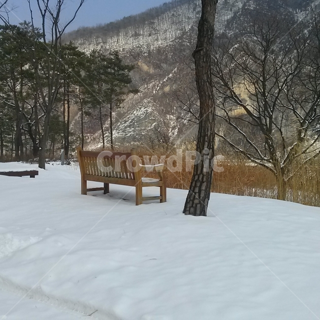 의자소나무,눈,산,눈길,나그네,자연,겨울,외로움,고독,솔잎,계곡,바위,겨울,계절,winter,season,자연,풍경,nature,landscape