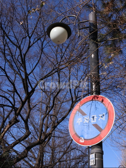 가로등,파란하늘,불꺼진가로등,아침가로등,거리조명,사물,물건,오브젝트,thing,object,matter