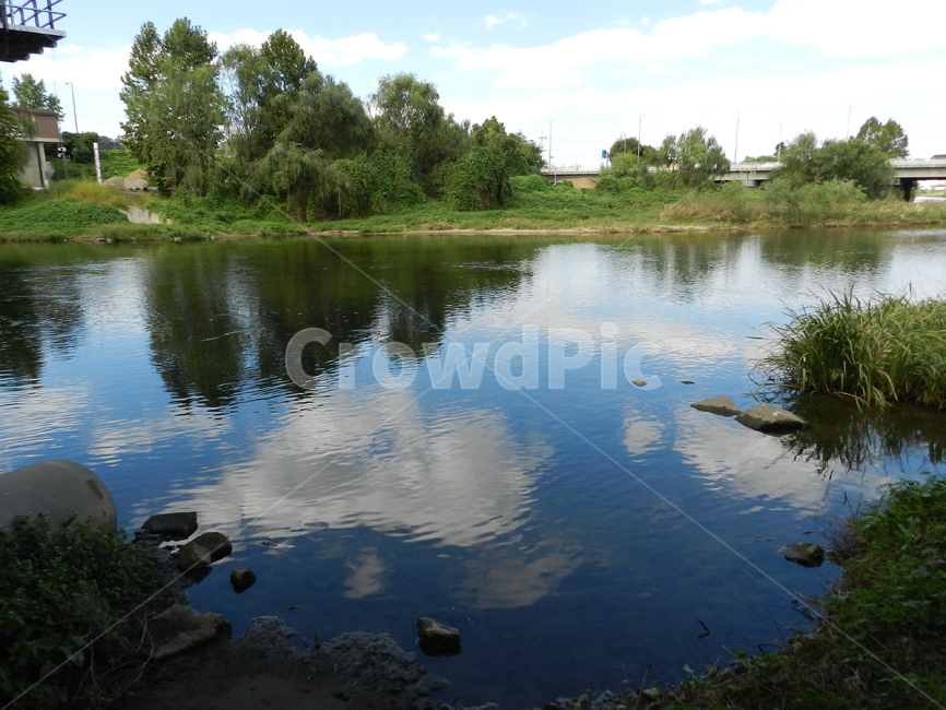 water,물,nature,자연,outdoors,구름,cloud,식물,나무,tree,plant,자연,풍경,nature,landscape,옥외