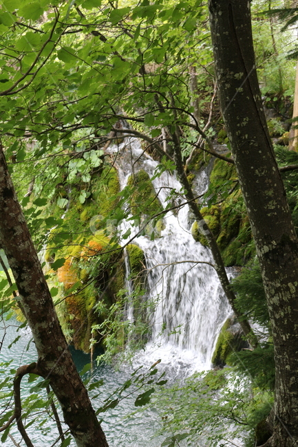 크로아티아,크로아시아,플리트비체,croatia,plitvice,plitvica,국립공원,공원,폭포,숲,요정숲,연못,강,호수,나무,여름,유럽,waterfall,pond,lake,park,tree,forest,자연,풍경,nature,landscape