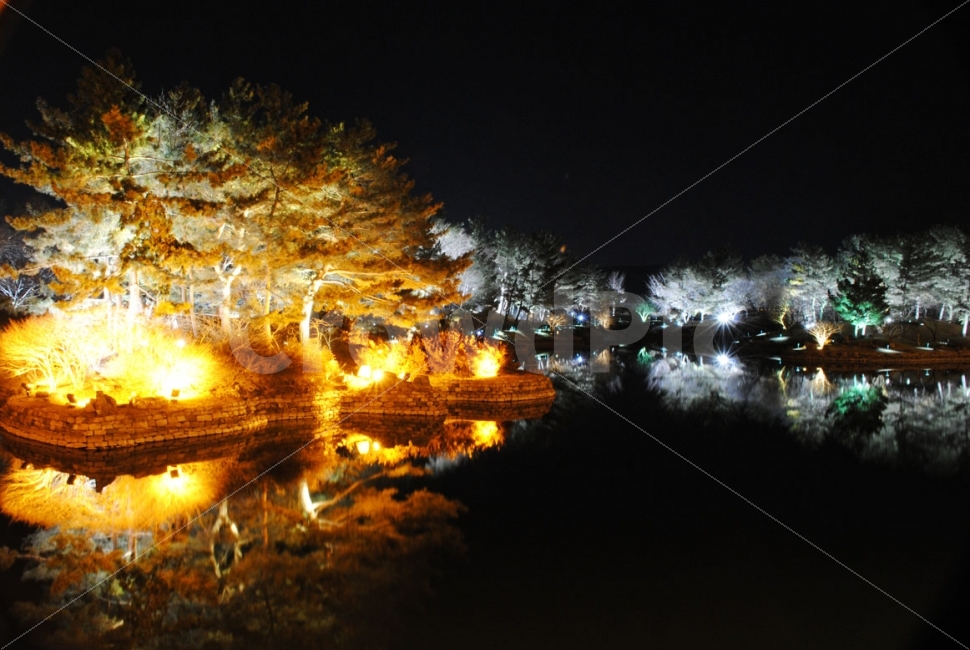 경주,안압지,야경,반영,연못,사적,통일신라,신라,월성,나무,조명,night,light,tree,한국,전통,역사,야경,밤,풍경,nightscape,night,landscape,랜드마크,landmark,tourist attraction,한국전통,한국문화,korean traditional,korean culture,빛,flare,플레어