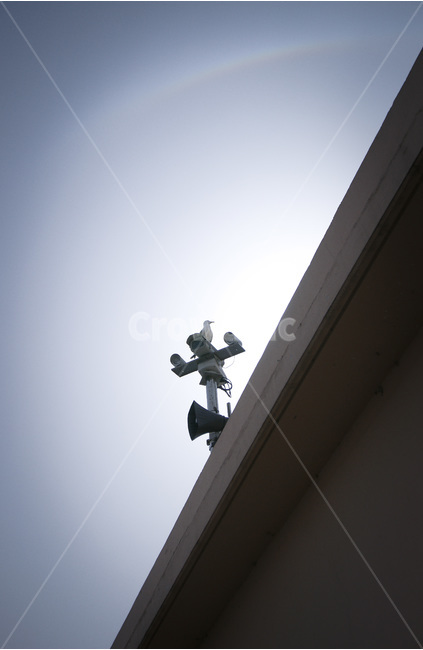갈매기,감시카메라,부둣가,항구,새,동물,animal,조류,새,birds