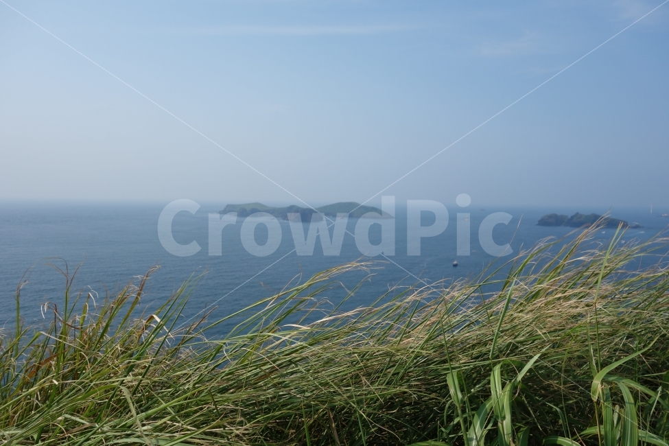 제주도,제주,제주여행,제주도여행,수월봉,차귀도,누운섬,정상,바람의언덕,풀,바다,섬,흰,구름,여행,바람,자연,풍경,nature,landscape,제주도,jeju,jeju island,land,땅,outdoors,옥외,water,물,shoreline,해안선,sea,ocean,대양,grass,잔디,plant,식물,coast,연안