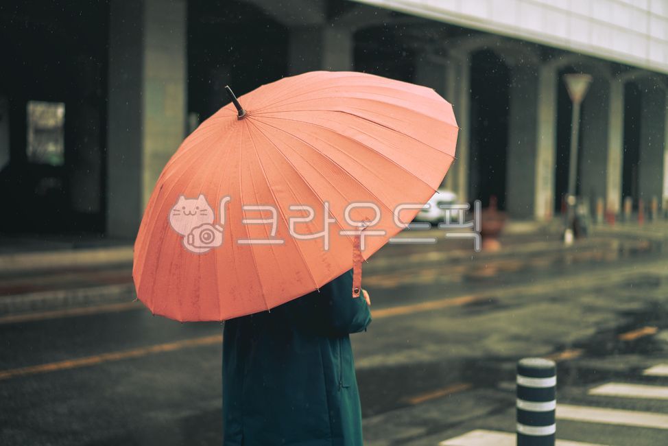 우산, 비, 도구, 컬러, 색감, 사진,이미지,일러스트,캘리그라피 - pb이로작가