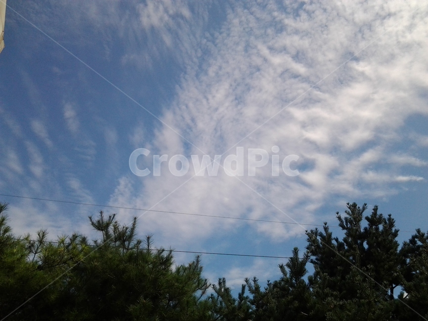 하늘,sky,구름,cloud,자연,nature,자연,풍경,nature,landscape