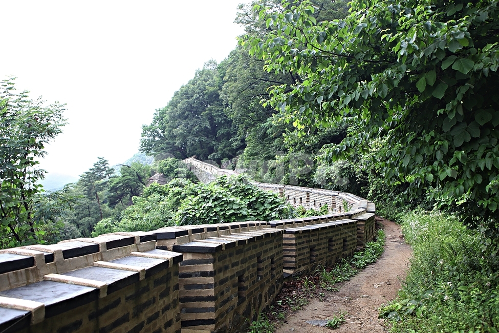 남한산성,성,성곽,길,둘레길,벽,숲길,숲,담,돌담,풍경,여름