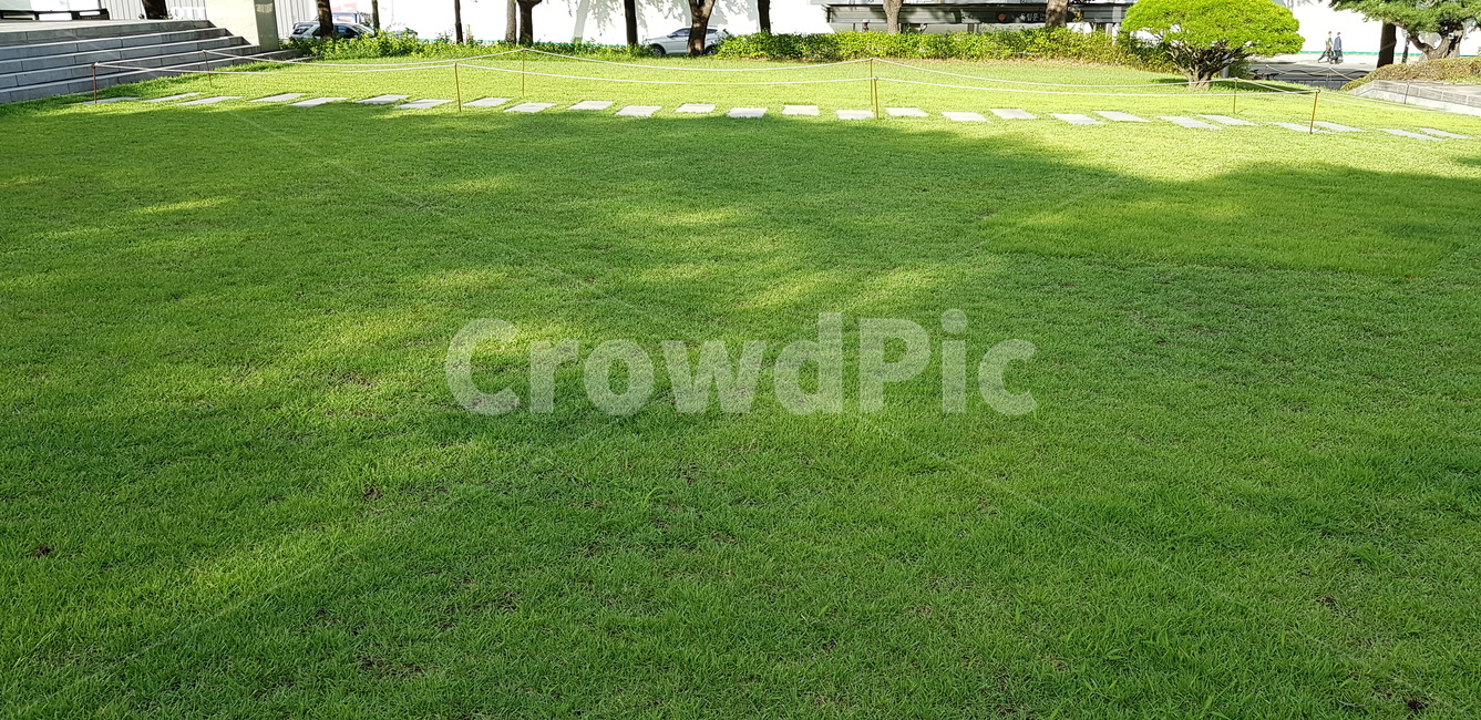 초원,들판,소풍,초록,plant,식물,lawn,잔디,grass
