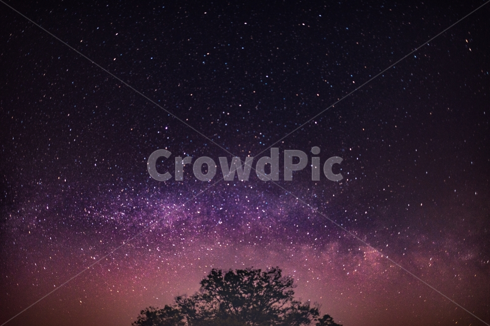 ,star,milkyway,tree,Milky Way,pouring,imagination,summer,milky,korea,Imagination,dream,summer night,night sky,sight,Mirinae,galaxy,repayment
