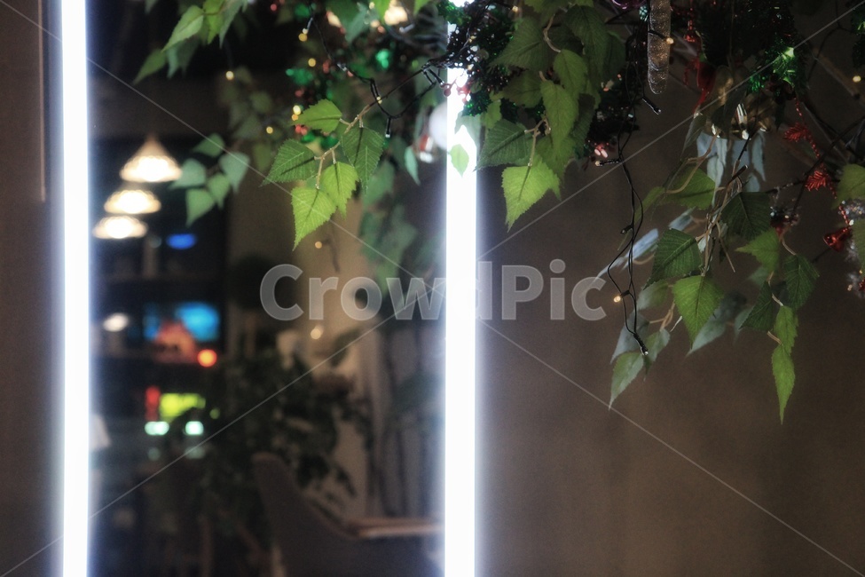 인테리어,interior,거울,mirror,나무,tree