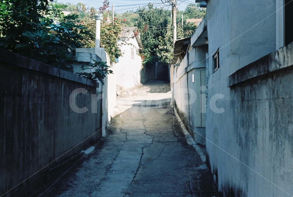 옛날,동네,대전,집,주택,대동,그림자,필름,필카,감성,도시,풍경,city,landscape,감성,sensible,feeling,road,도로,town,시티,street,거리,urban,어반,building,건물,alley,골목,alleyway