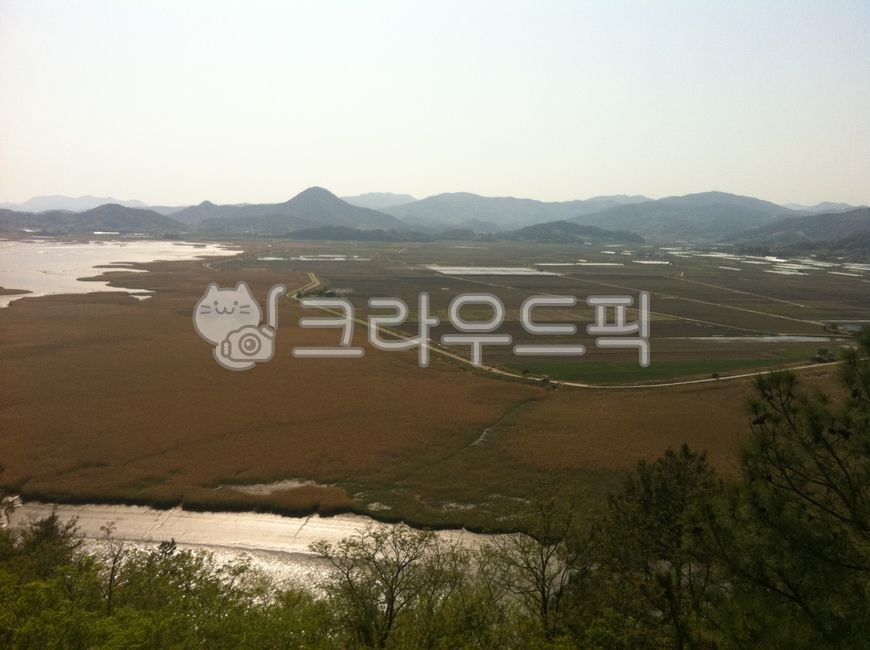 순천만,습지공원,풍경,갈대밭,자연,nature