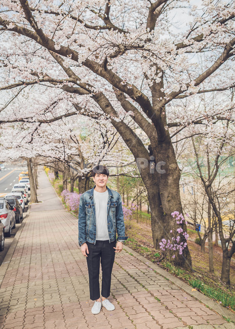 남자,인물,벚꽃,봄,man,봄,계절,spring,season,사람,인물,인간,human,person,남성,남자,man,male,plant,식물,flower,꽃,blossom
