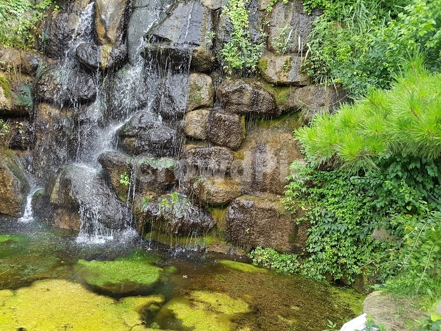 덕진공원,전주덕진공원,공원,이끼,폭포,자연,풍경,nature,landscape