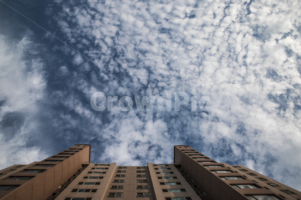 여름날씨,맑은하늘,가을하늘,풍경,landscape,bluesky,구름,숲,파란하늘,푸른하늘,cloud,건축물,건물외관,exterior,building,structure,architecture,construction