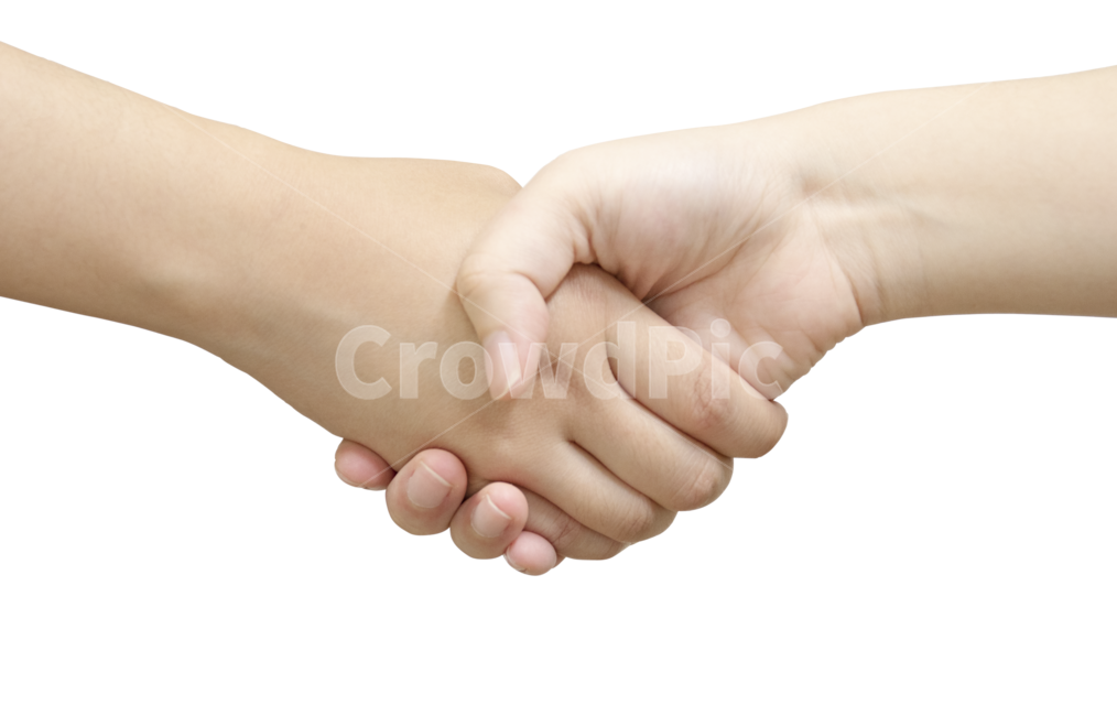 악수,손,사람,누끼,제스처,인간,파트너,비즈니스,계약,성공,컨셉,콘셉,concept,hand,person,png,removebackground,success,체결,business,partner,human,handshake,contract,touch,만지다,접촉하다,gesture,신체일부,몸,body,사람,인물,인간,human,person,신체일부,몸,body