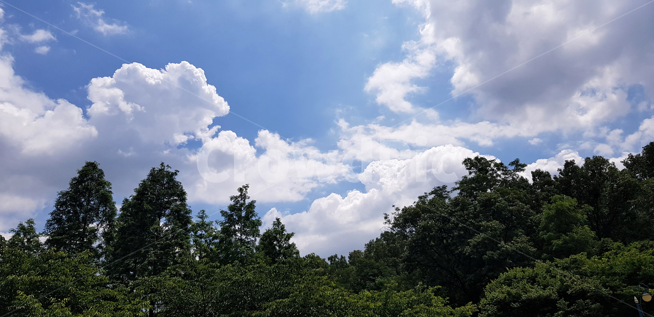 구름,산,자연,하늘,배경,나무,공원,자연,풍경,nature,landscape,outdoors,옥외,weather,날씨,cloud,sky,cumulus,적운