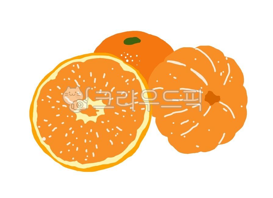 귤,오렌지,감귤,밀감,과일,자연,음식,열매,천혜향,한라봉,레드향,제주,제주도,만다린,탄제린,주황색,껍질,나무,시트러스,신,잎,반,슬라이스,컷,열대,건강,다이어트,비타민,그림,손그림,스케치,식물,신선한,일러스트,그래픽,디자인,클립아트,아트,디자인소스,벡터,컨셉,오브젝트,익은,건강한,유기농,주스,달콤한,농사,농업,식사,식용,씨,겨울,tangerine,mandarin,orange,fruit,nature,food,jeju,jejuisland,peel,tree,citrus,sour,leaf,half,slice,cut,tropical,health,diet,vitamin,painting,handdrawing,sketch,plant,fresh,illustration,graphic,design,clipart,art,designsource,vector,symbol,isolated,sign,concept,abstract,natural,object,healthy,juicy,organic,juice,sweet,freshness,farming,agriculture,seed,winter