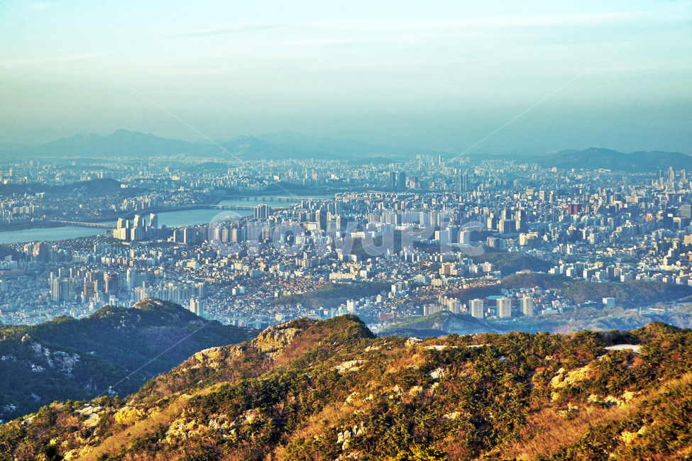 관악산,산,과천,도심풍경,봉우리,등산,청계산